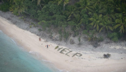 Cómo escapar de una isla desierta con ramas de palma