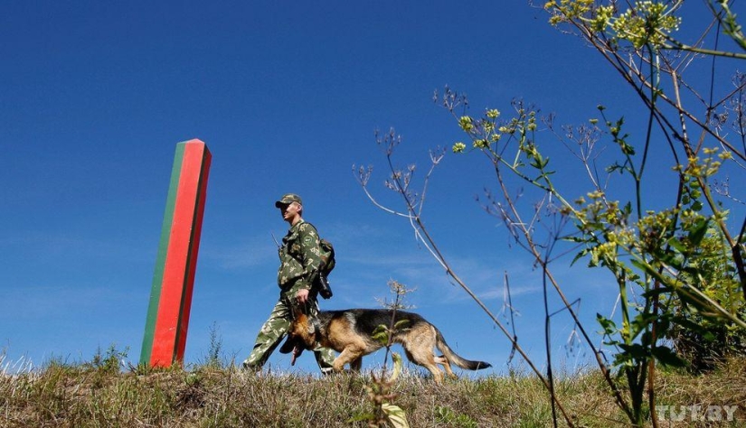 Cómo los cachorros se convierten en guardias fronterizos
