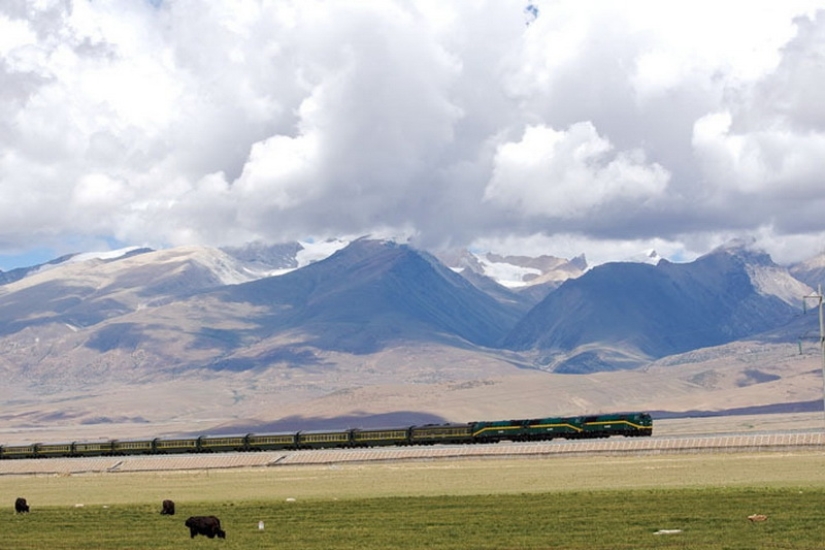 Cómo los chinos construyeron el ferrocarril al Tíbet