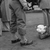 Cómo los japoneses étnicos fueron forzados a campos de concentración en los Estados Unidos después de Pearl Harbor