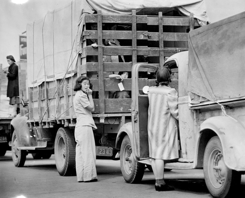 Cómo los japoneses étnicos fueron forzados a campos de concentración en los Estados Unidos después de Pearl Harbor