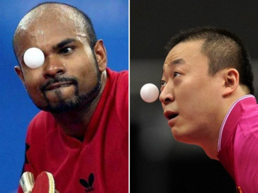 Cómo Los Jugadores de Ping-Pong Se Convierten en Ruedas de Bolas de Plástico