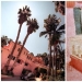 Cómo lucir glamorosa Palacio de la rosa de Hollywood sex bomb Jayne Mansfield