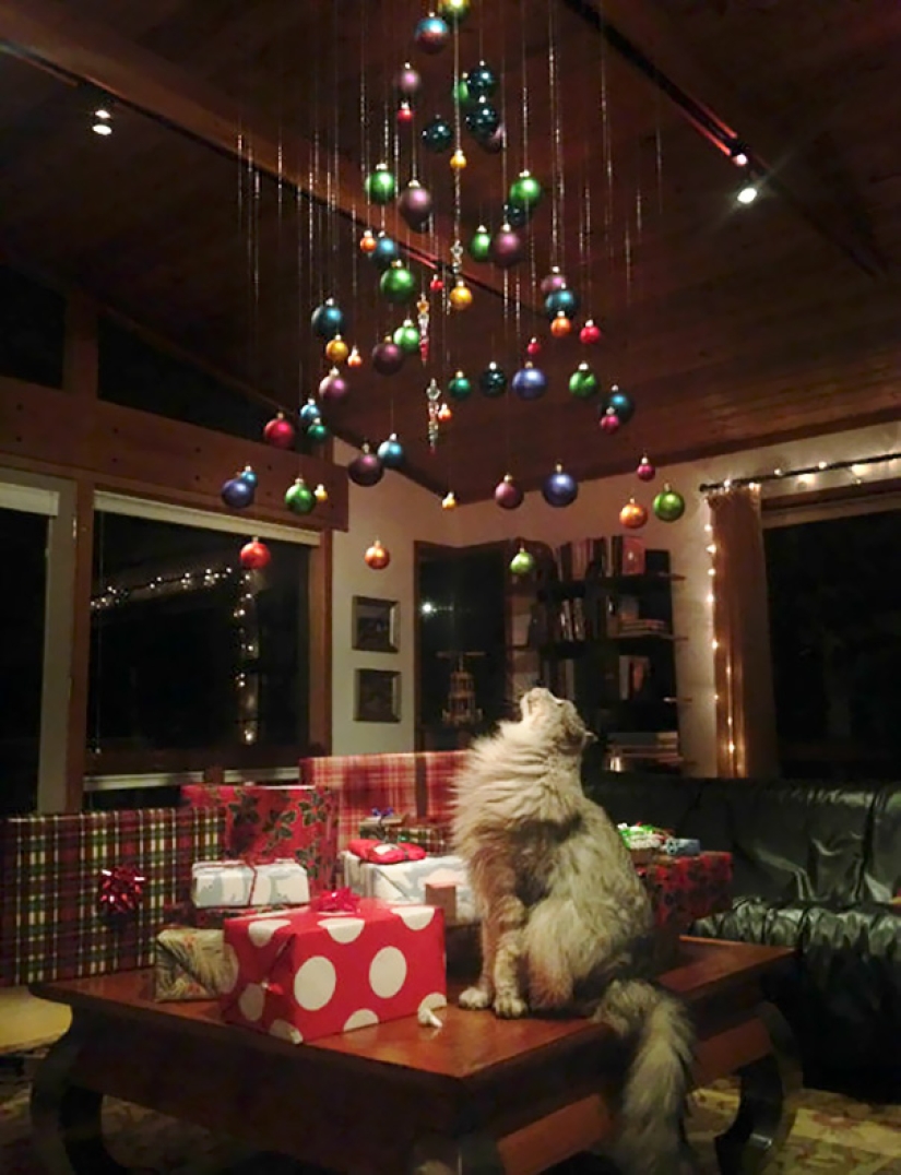 Cómo proteger un árbol de Navidad de mascotas dañinas y audaces