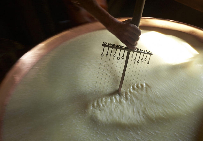 Cómo se hace el queso suizo