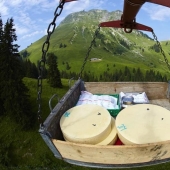 Cómo se hace el queso suizo