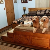 ¿Cómo se ve una cama especial con un lugar para dormir para mascotas?