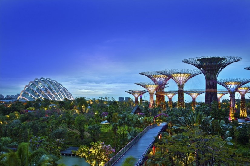 Cómo Singapur se convirtió en la metrópolis más verde del planeta