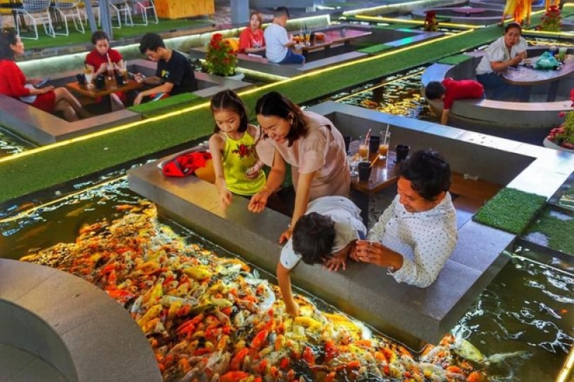 Cómo son los cafés de peces de colores en Ciudad Ho Chi Minh