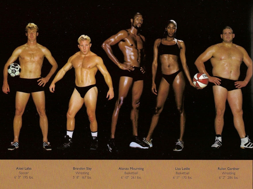 ¿Cómo son los cuerpos de los atletas?