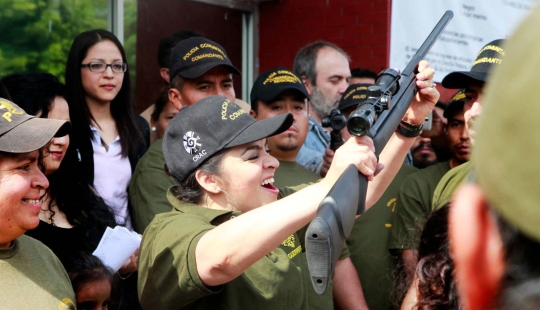 Cómo una simple mujer mexicana, Nestor Salgado, le declaró la guerra a los cárteles de la droga