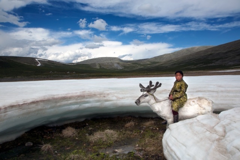 Cómo vive la tribu de pastores de renos de Mongolia, en peligro de extinción