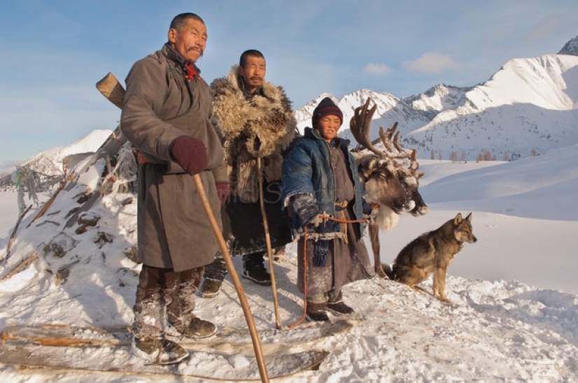 Cómo vive la tribu de pastores de renos de Mongolia, en peligro de extinción