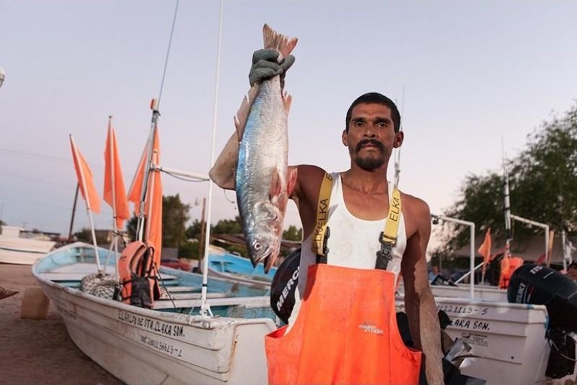Cómo viven las comunidades pesqueras de los mares del norte