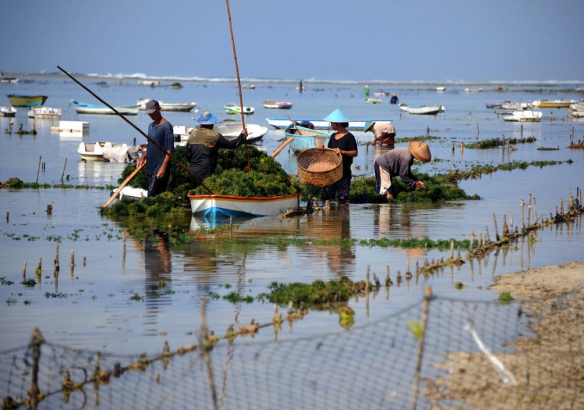 Coasts around the world in pictures