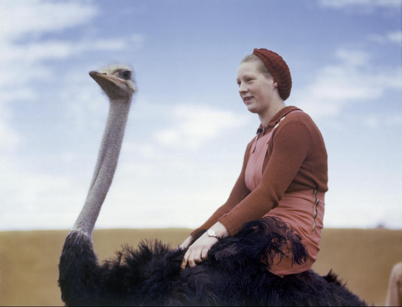 Colección de fotografías encontradas de National Geographic