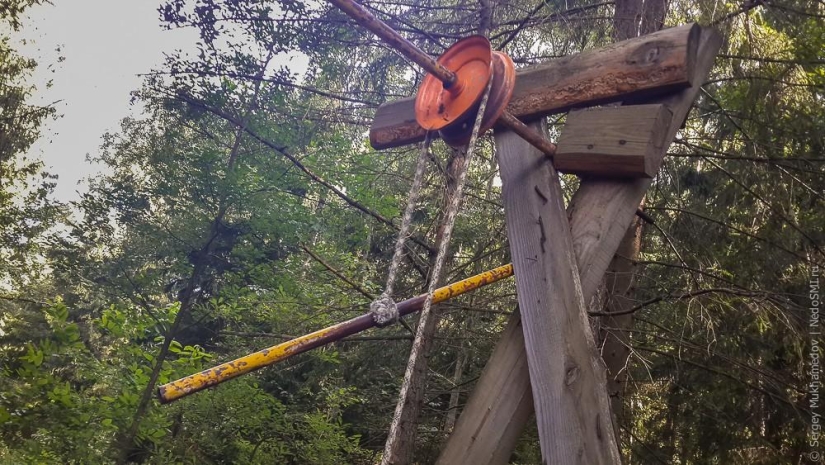 Complejo de poder &quot;Pinocho&quot;: Mecedora de madera en el bosque