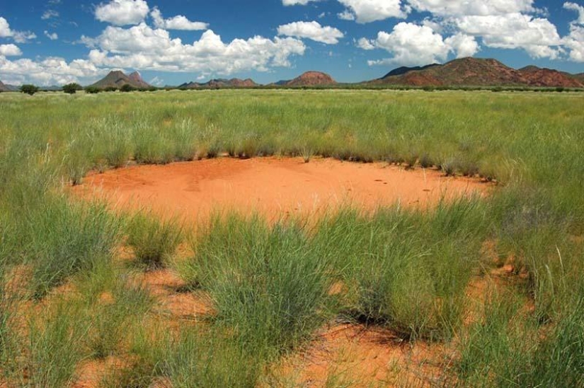 Círculos misteriosos en Namibia