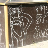 Creative pavement signs