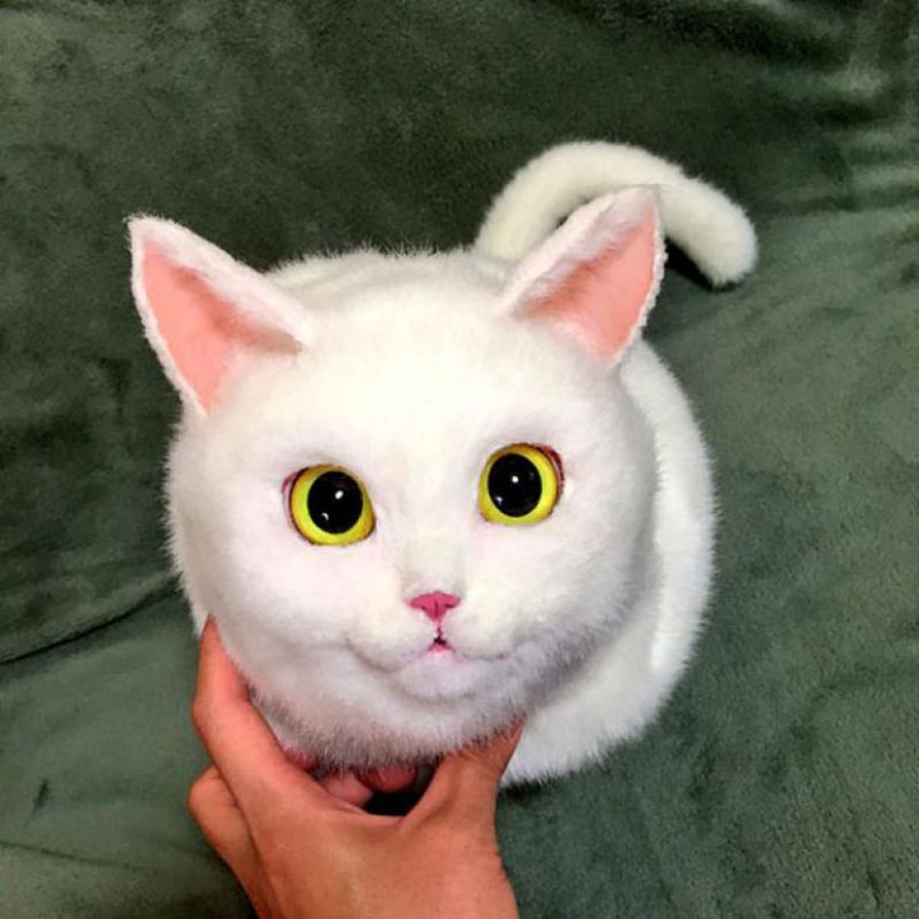 Creepy or cute? Cat bags are a new trend in Japan