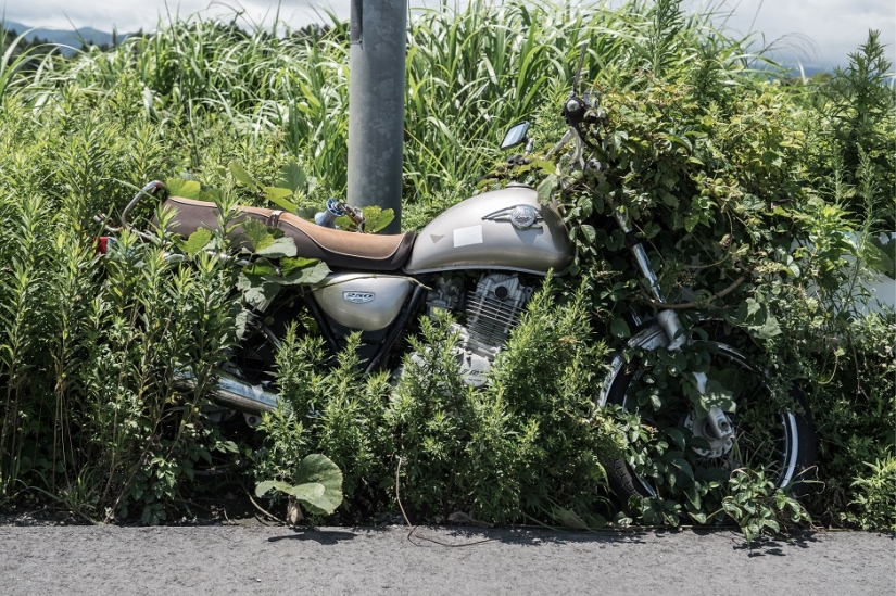 Creepy photos from the exclusion zone in Fukushima