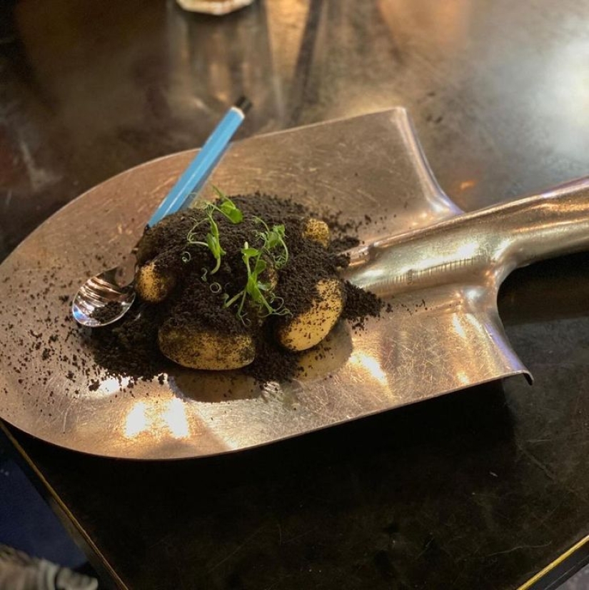 Croutons on a shovel: 22 examples of a very strange serving of dishes