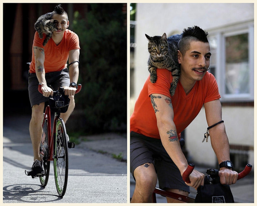 Cyclist and his cat