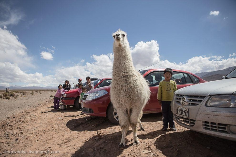 Dakar 2014. Salta, the mountains and the last day in Argentina