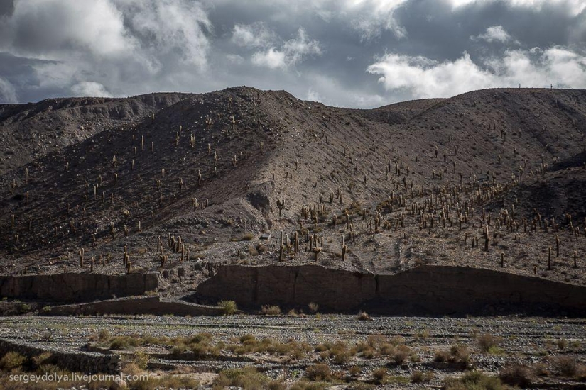 Dakar 2014. Salta, the mountains and the last day in Argentina