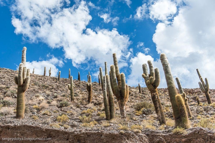 Dakar 2014. Salta, the mountains and the last day in Argentina