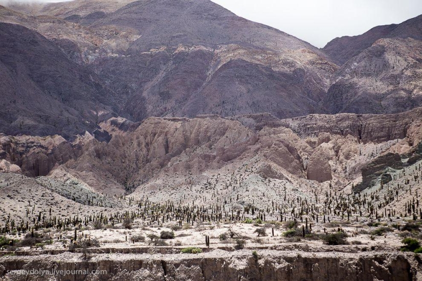 Dakar 2014. Salta, the mountains and the last day in Argentina