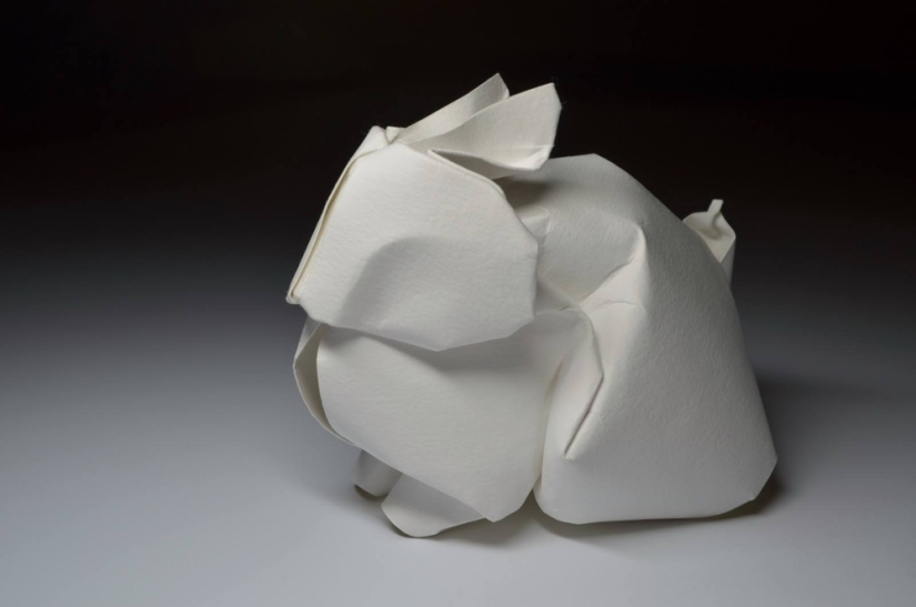 Damp: origami by Hoang Tien Kuet