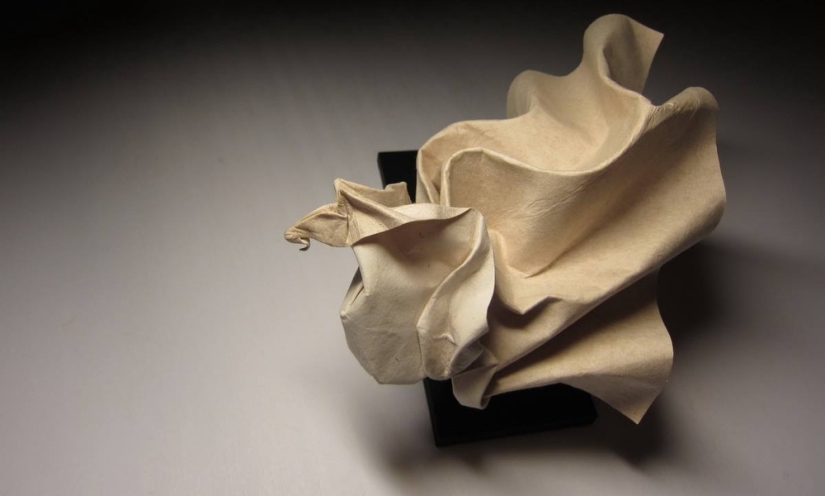 Damp: origami by Hoang Tien Kuet