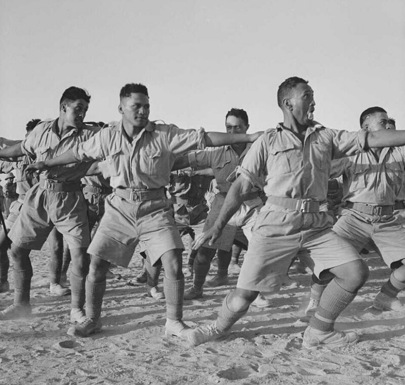 Danza de guerra de la nueva zelanda Maorí batallón en el desierto