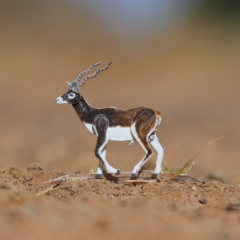 Desafío 1000 días-pequeños animales de papel de artistas de la India