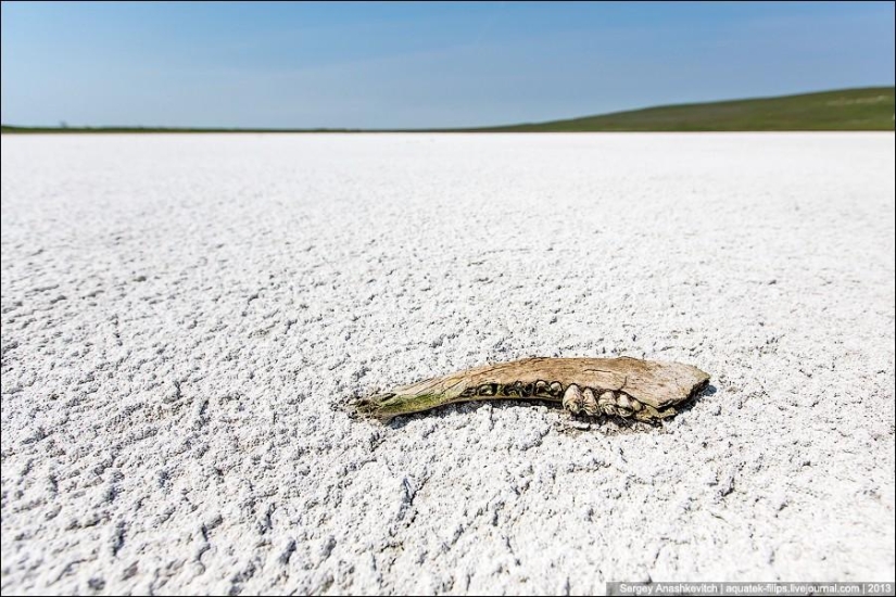 Desiertos de sal de Crimea
