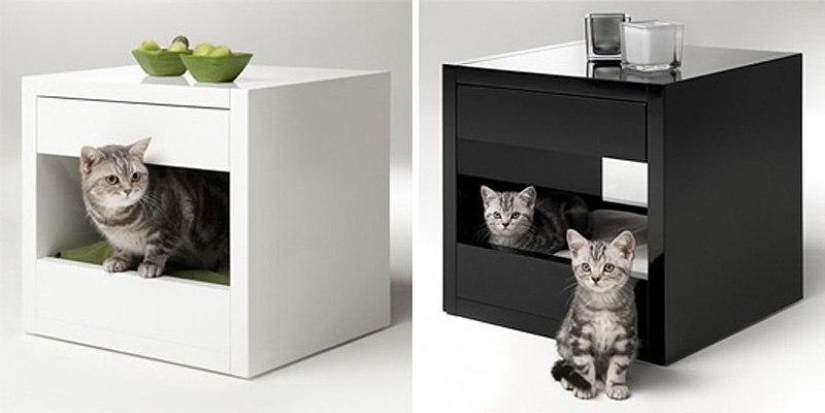 Design for cats