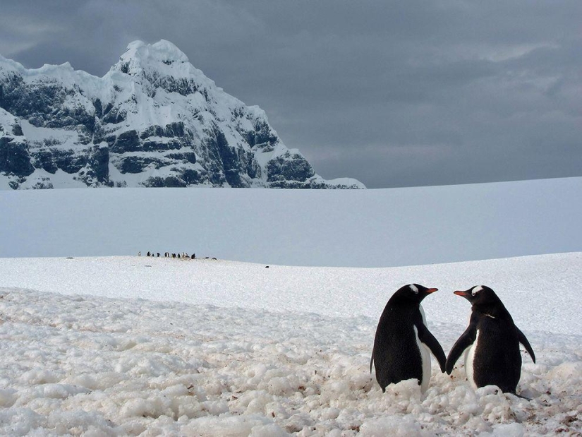 Desktop wallpapers from National Geographic for November 2013