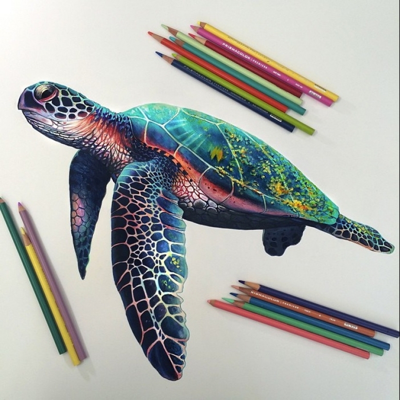 Dibujos hiperrealistas de Morgan Davidson en lápices de colores