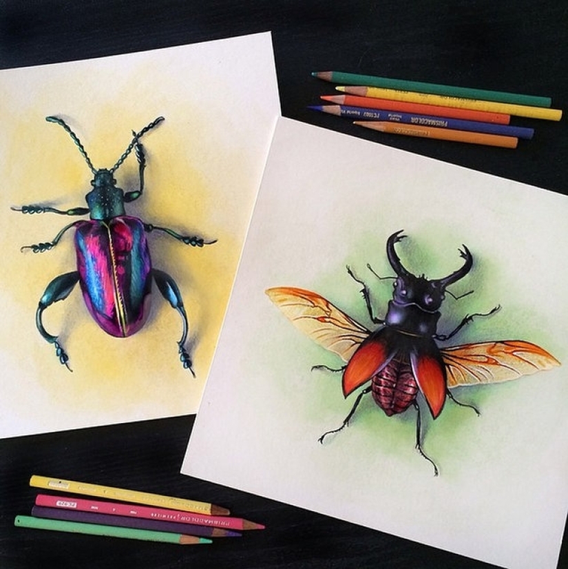 Dibujos hiperrealistas de Morgan Davidson en lápices de colores