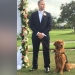 Disabled Veteran Makes His Service Dog Best Man at His Wedding