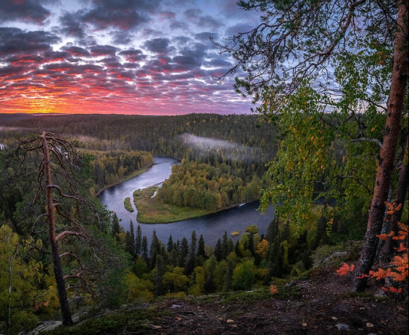 Disfruto capturando la belleza de Finlandia, aquí hay 23 de mis fotos favoritas