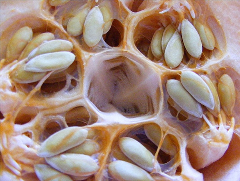 Do you suffer from trypophobia?