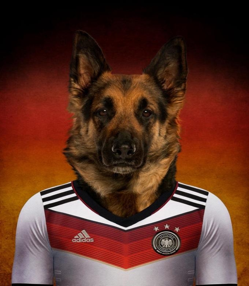 Dogs dressed in the uniforms of the national teams of the world