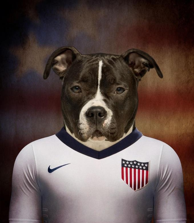 Dogs dressed in the uniforms of the national teams of the world
