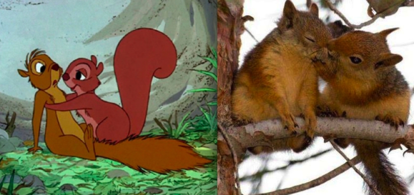 Donald Duck and 20 more Disney animals in real life