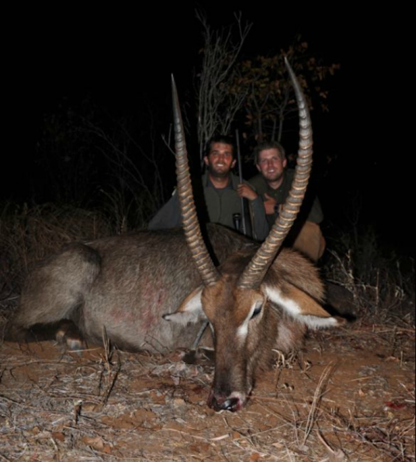 Donald Trump's Sons love to kill animals