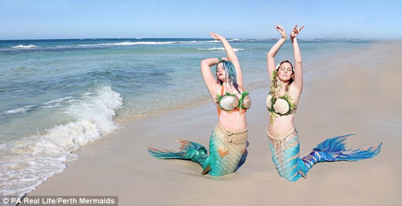 Dos sirenitas: novias obsesionadas con Disney han crecido colas de silicona y nadan con tiburones