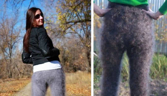 Downy yoga pants — the latest Orenburg hit