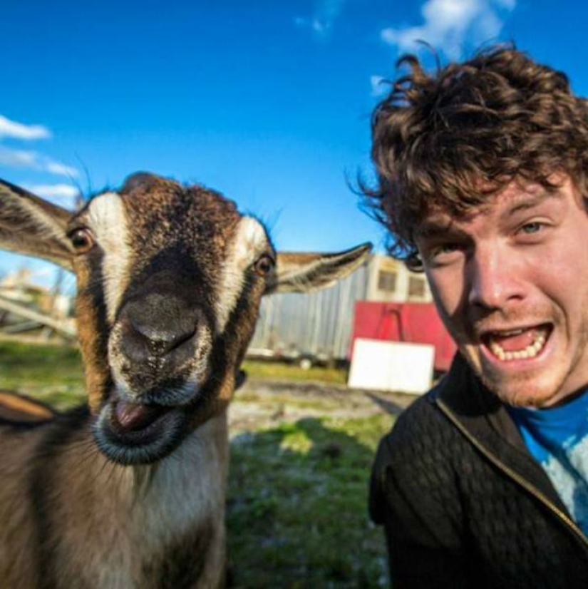 "Dr. Dolittle" dijo cómo tomar una selfie con animales